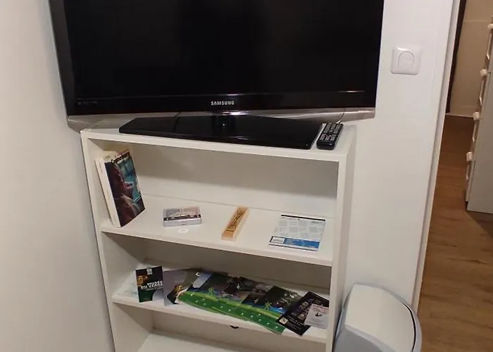 Cosy Plein Centre Apartment *