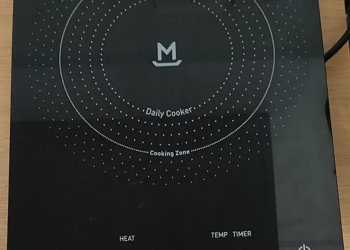 Cosy Plein Centre Apartment *